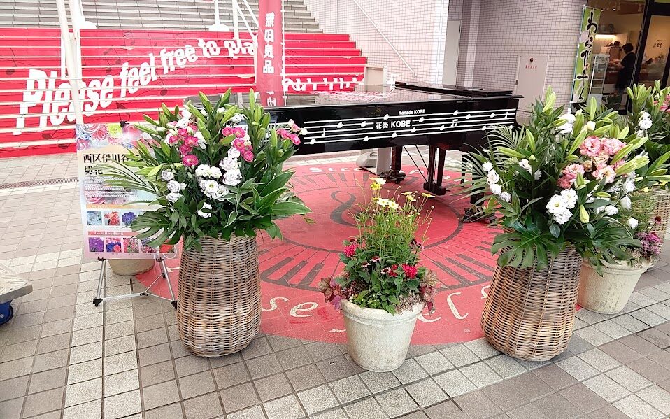 神戸の花による街の彩ガーデン7月（神戸市北区エコールリラ）