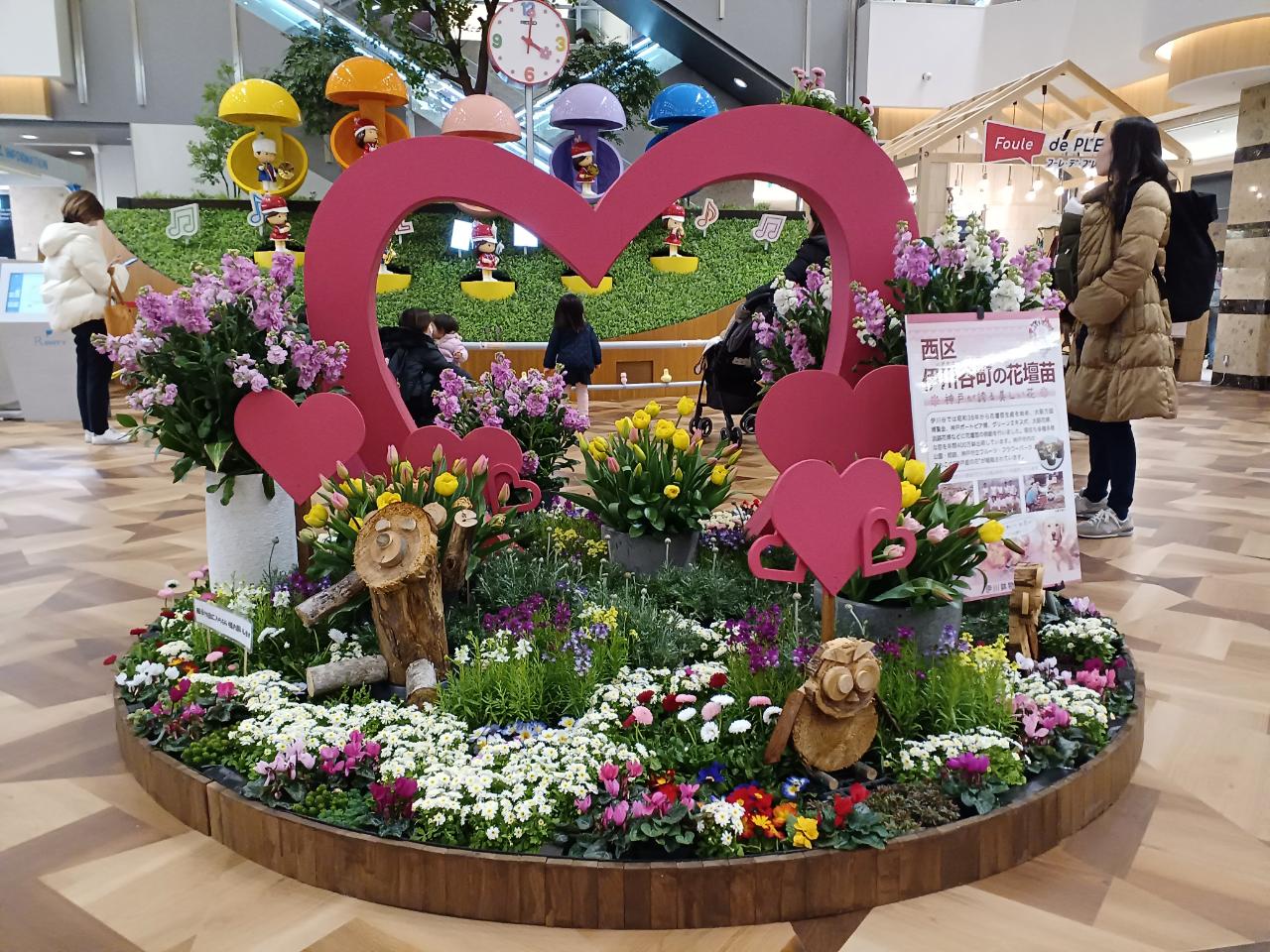 神戸の花による街の彩ガーデン（2月、西神プレンティ）
