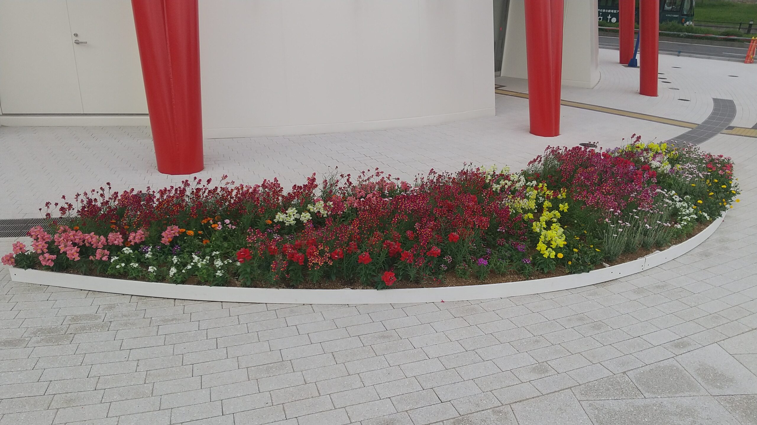 神戸の花による街の彩ガーデン（4月、ポートタワー）