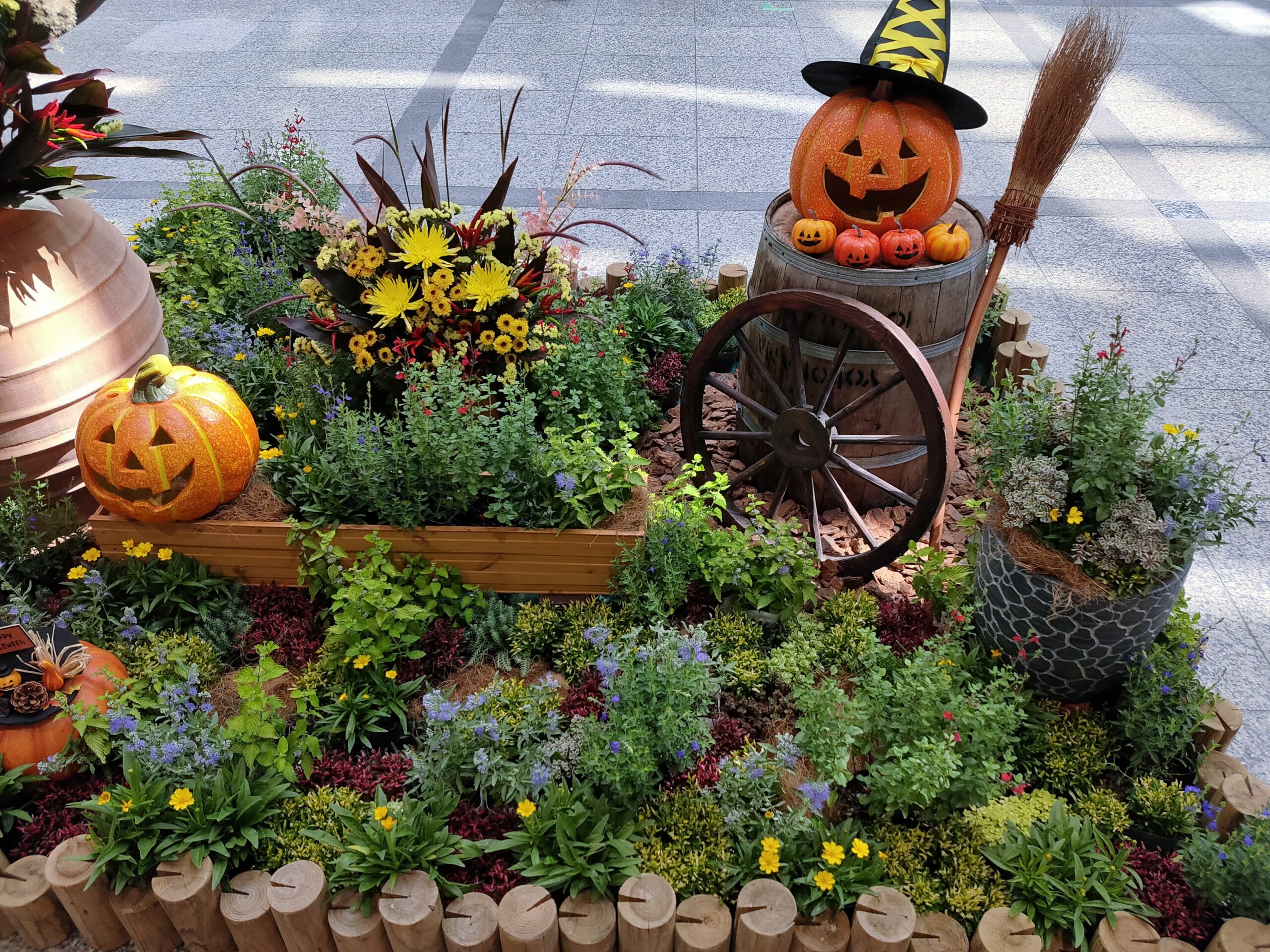 神戸の花による街の彩ガーデン（９～10月）ﾃﾞｭｵこうべ