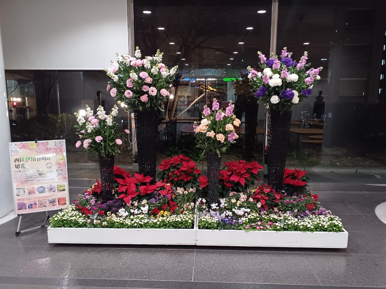 神戸の花による街の彩ガーデン（12月、神戸市役所ロビー）