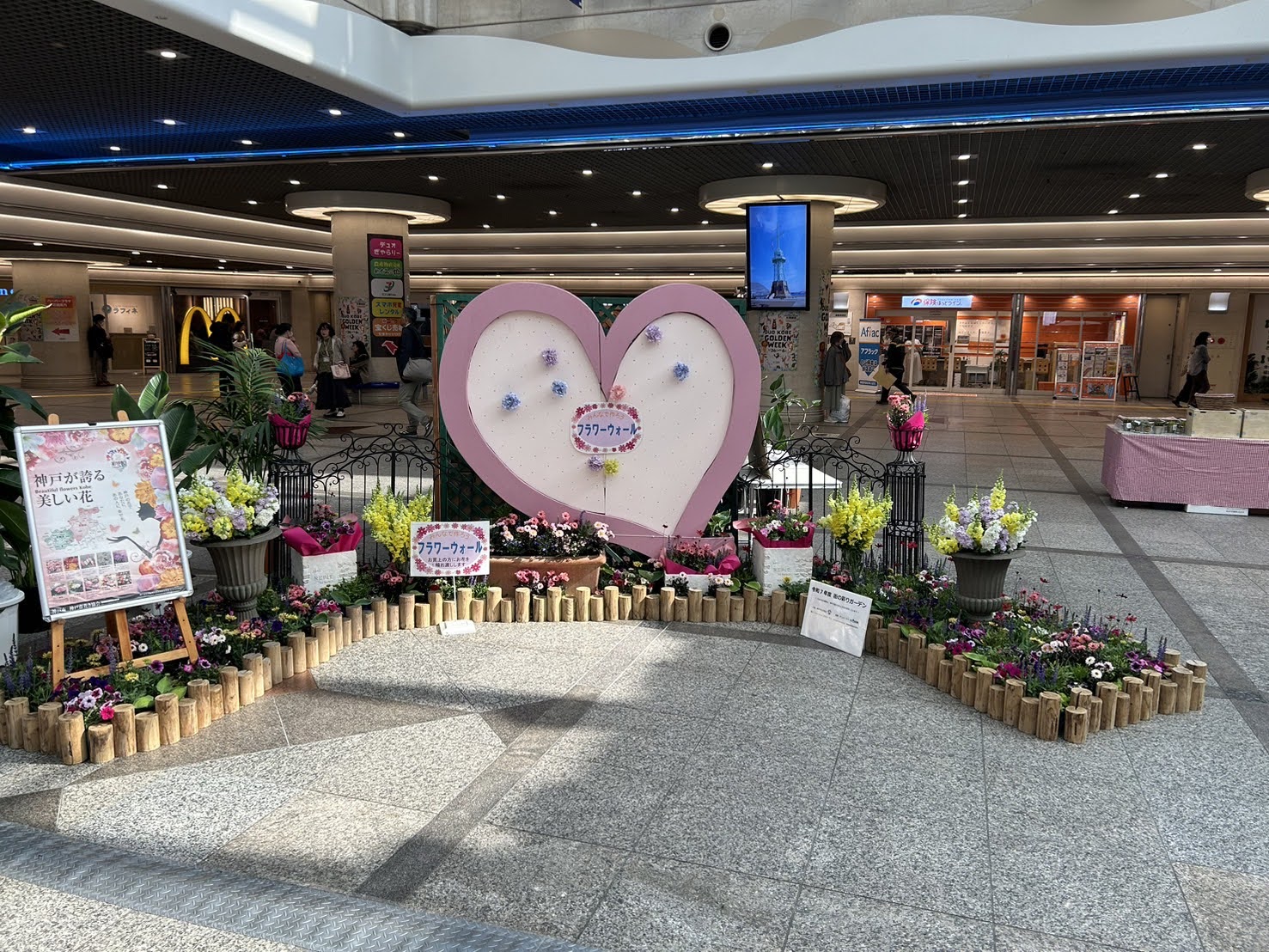 神戸の花による街の彩ガーデン（5月、ﾃﾞｭｵこうべ　）