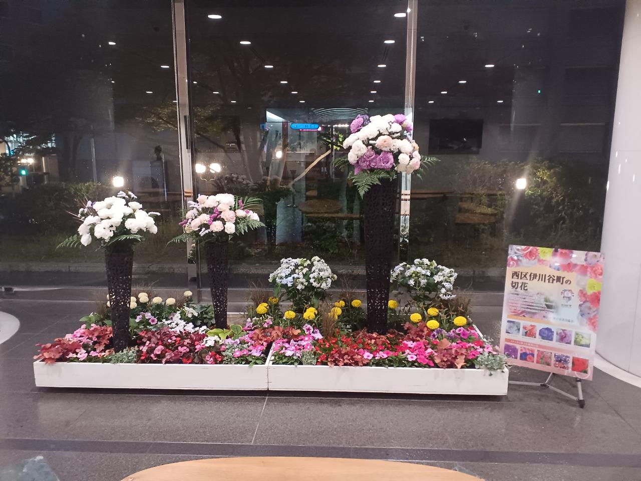 神戸の花による街の彩ガーデン（5月、神戸市役所ロビー　）