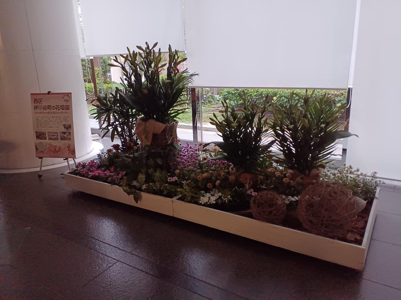 神戸の花による街の彩ガーデン（7月、神戸市役所ロビー　）