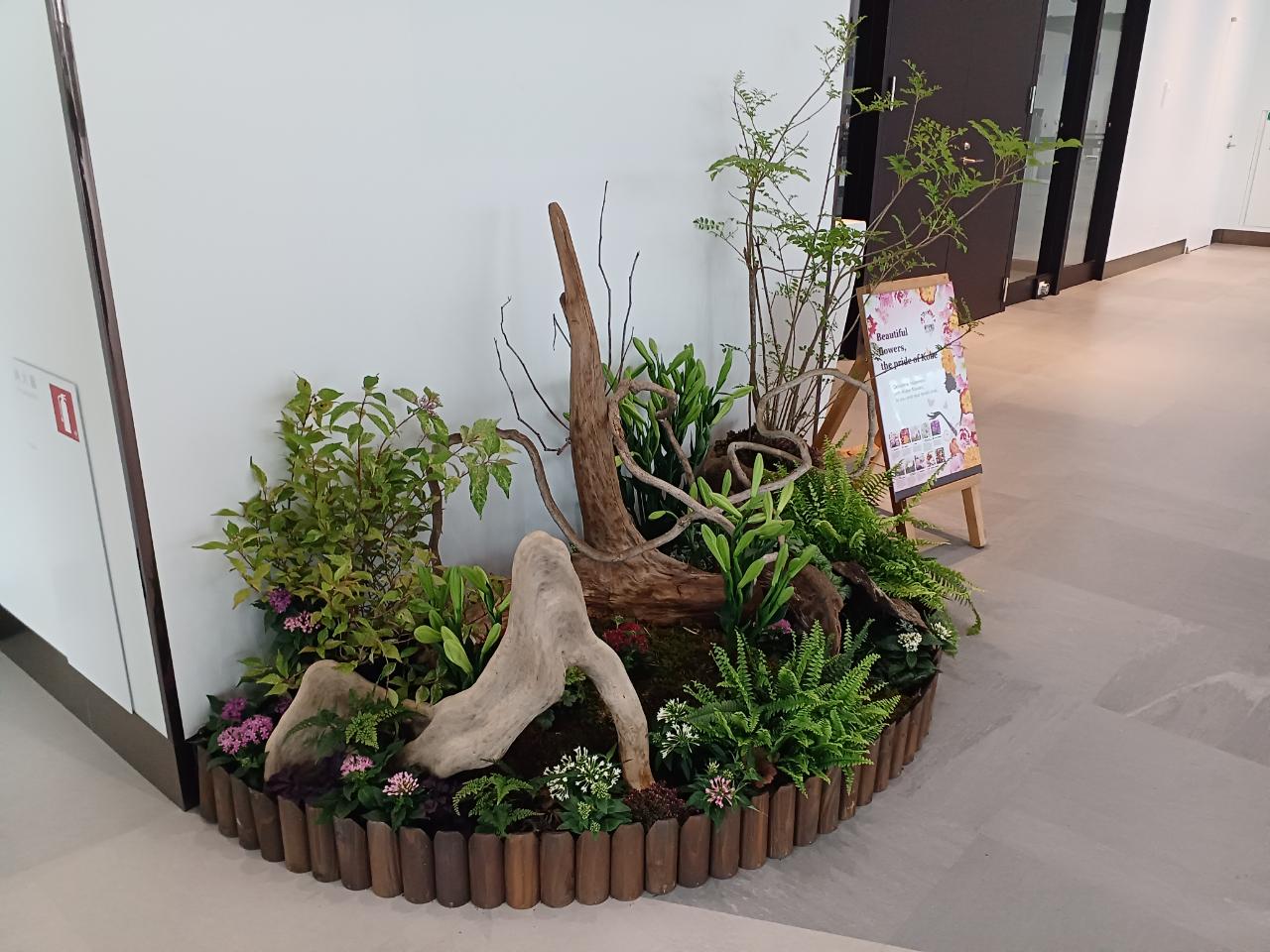 神戸の花による街の彩ガーデン（7月、神戸空港第２ターミナル）