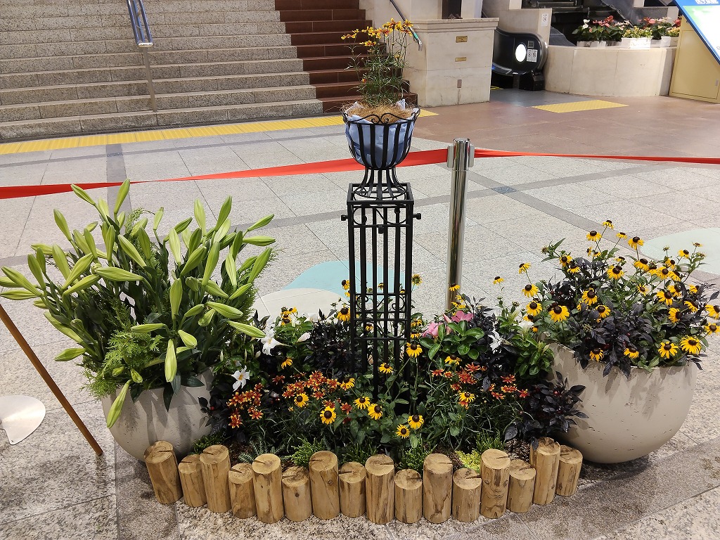 神戸の花による街の彩ガーデン（8月、ﾃﾞｭｵこうべ　）