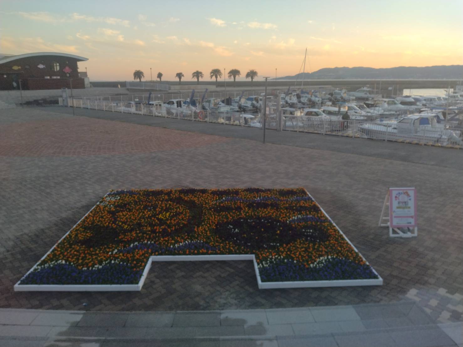 神戸花物語2025秋開催のお知らせ！【11月15日（土）～11月30日（日）】　　　　　　　　　　　