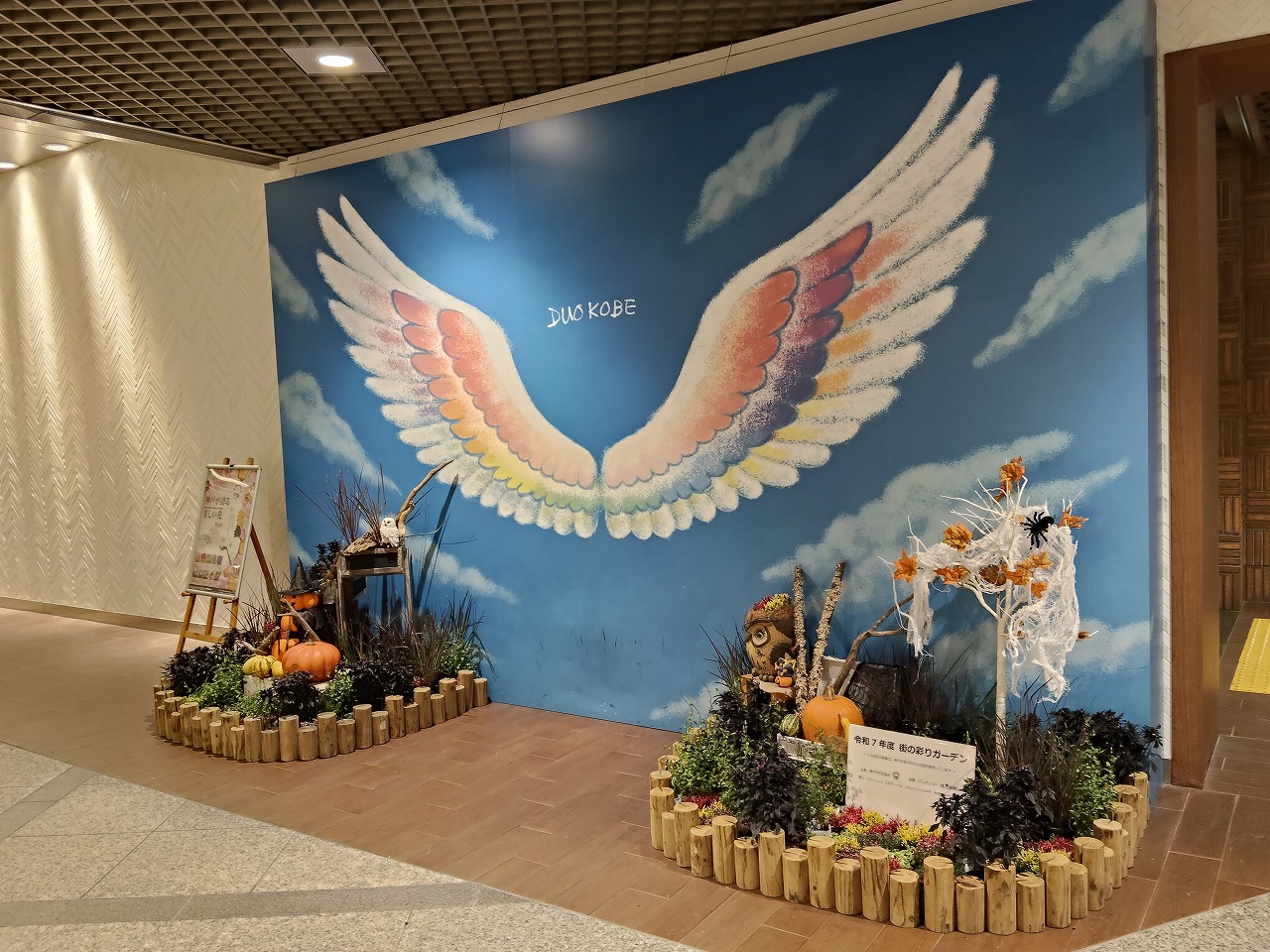神戸の花による街の彩ガーデン（10月、ﾃﾞｭｵこうべ　）