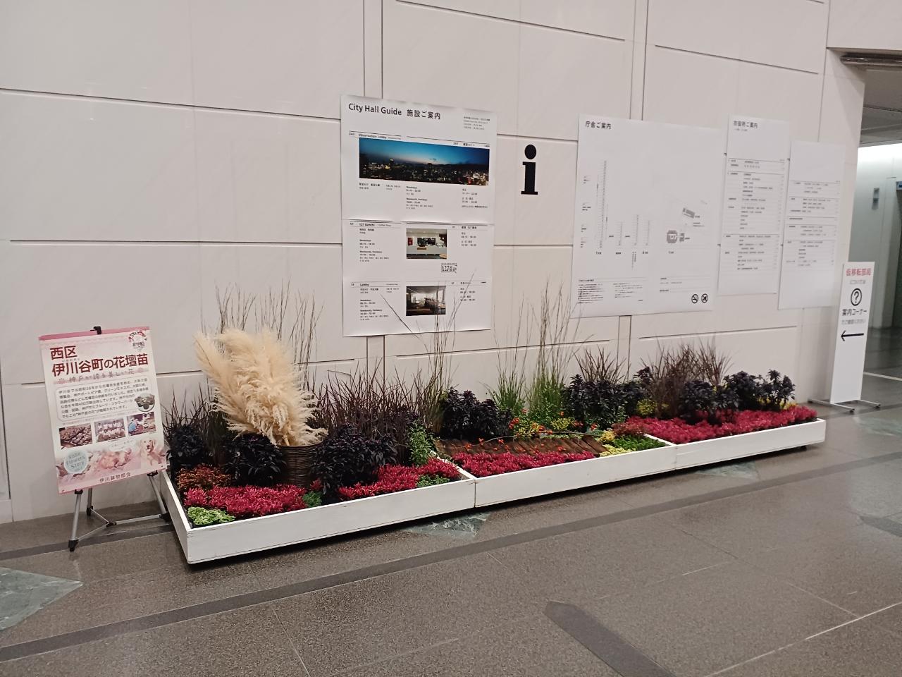 神戸の花による街の彩ガーデン（10月、神戸市役所ロビー　）