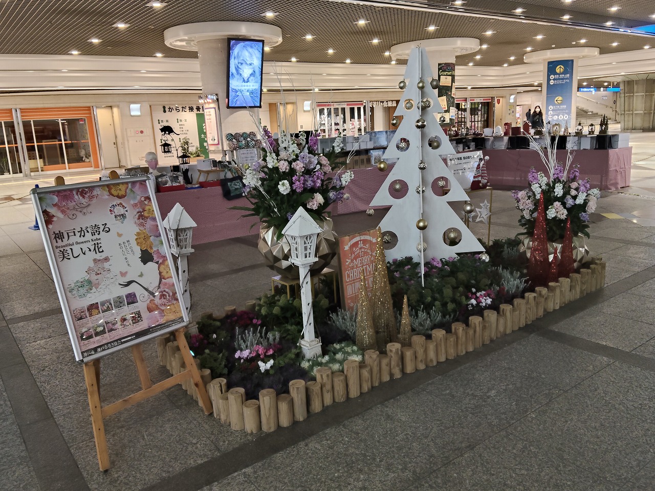 神戸の花による街の彩ガーデン（11月、ﾃﾞｭｵこうべ　）