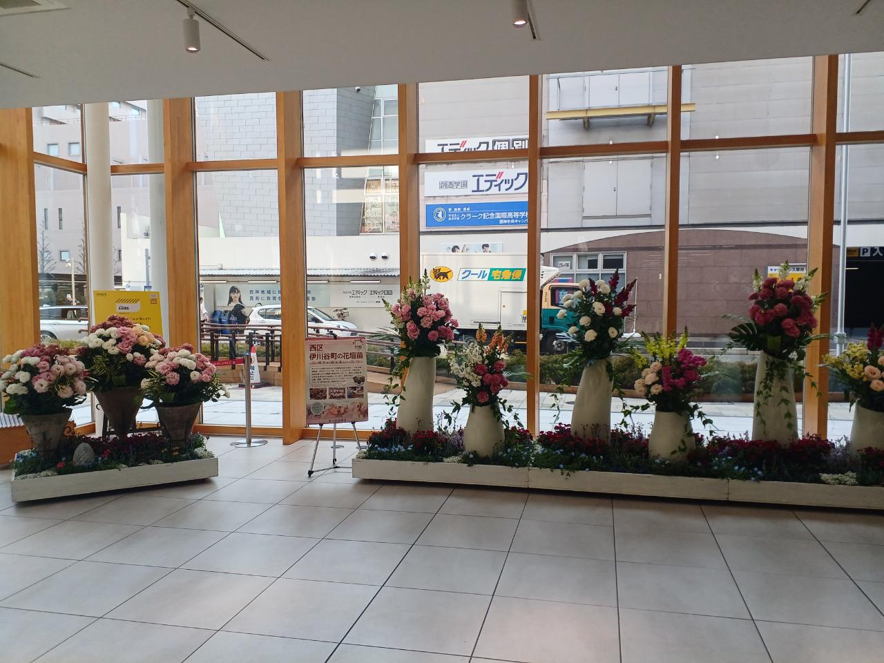 神戸の花による街の彩ガーデン（3月、神戸市西区役所１階エントランス　）