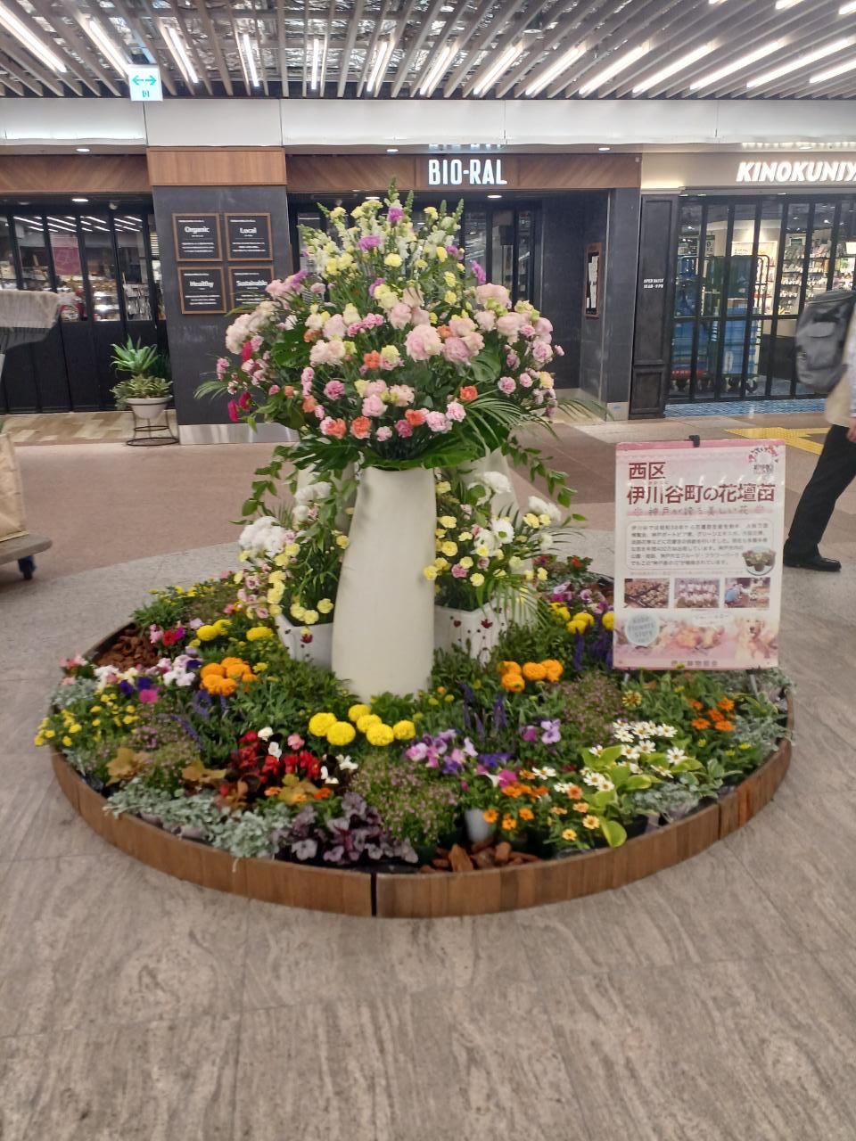 神戸の花による街の彩ガーデン（5月、さんちか夢広場　）