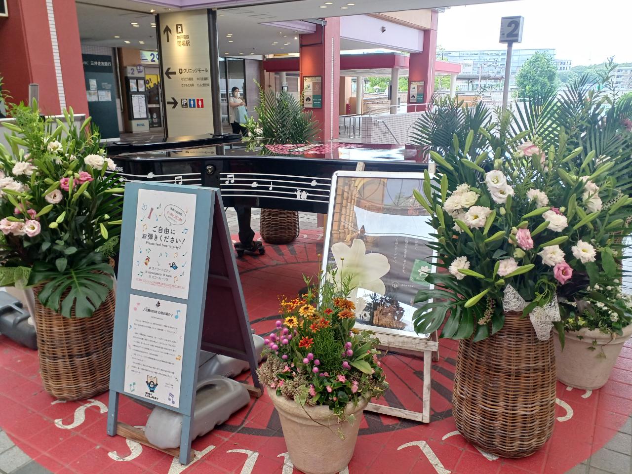 神戸の花による街の彩ガーデン（7月、エコールリラ　）