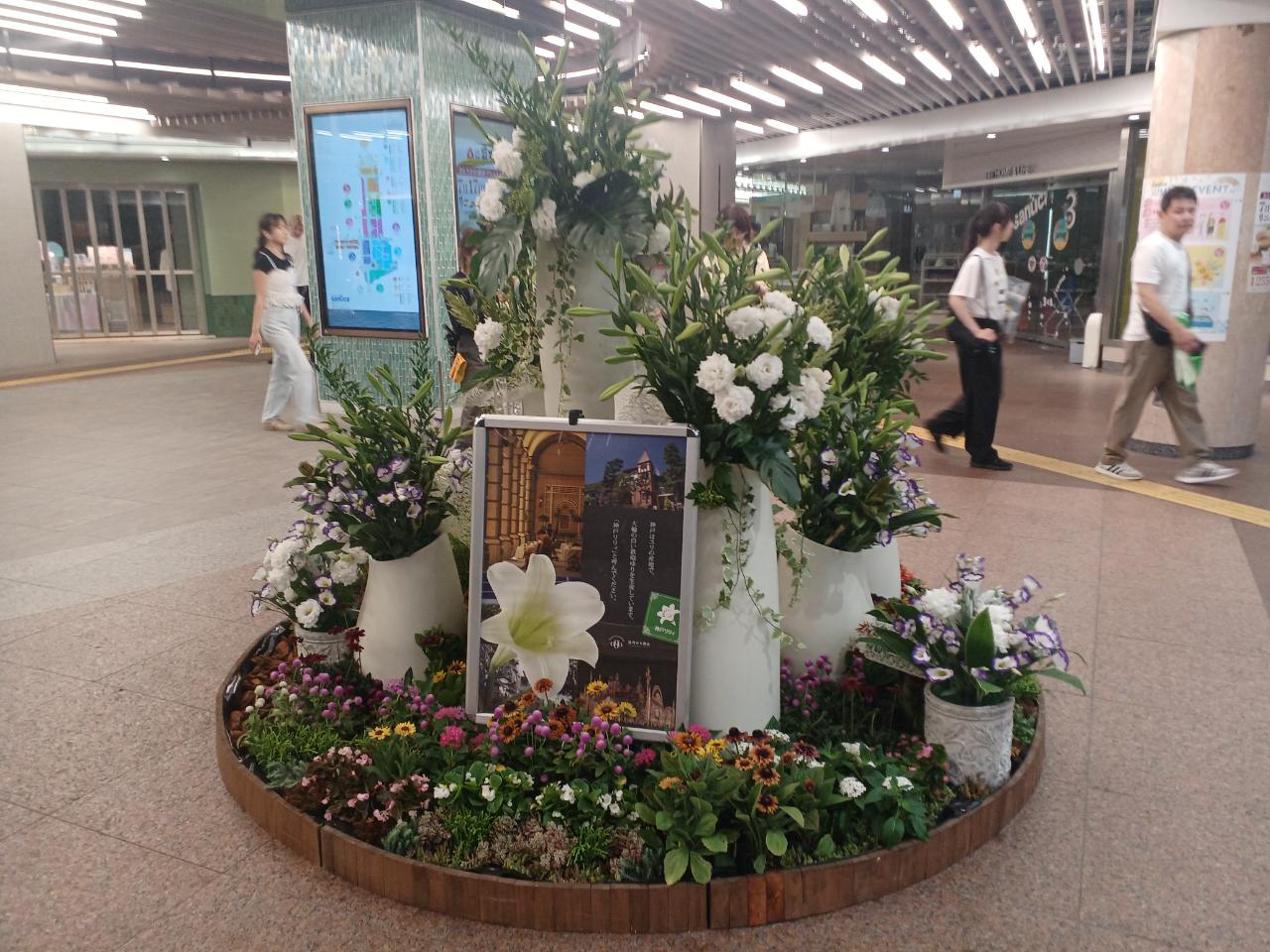 神戸の花による街の彩ガーデン（7月、さんちか夢広場　）
